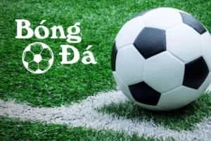 Phân Biệt Trạng Thái Bóng Trong Cuộc Và Bóng Ngoài Cuộc Chi Tiết