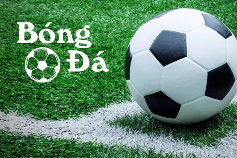 Phân Biệt Trạng Thái Bóng Trong Cuộc Và Bóng Ngoài Cuộc Chi Tiết