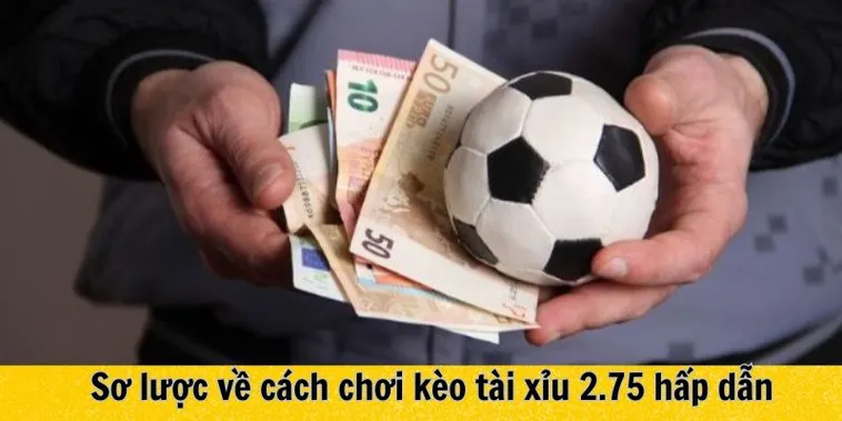 Phương Pháp Phân Tích Chi Tiết Thông Số Kèo 2.75 Trong Trận Đấu