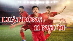 Hướng Dẫn Chi Tiết Về Luật Sân Bóng Đá Thi Đấu Chuẩn Quốc Tế